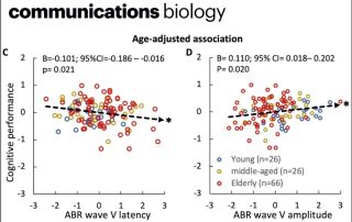 La réponse auditive du tronc cérébral serait un biomarqueur du déclin cognitif